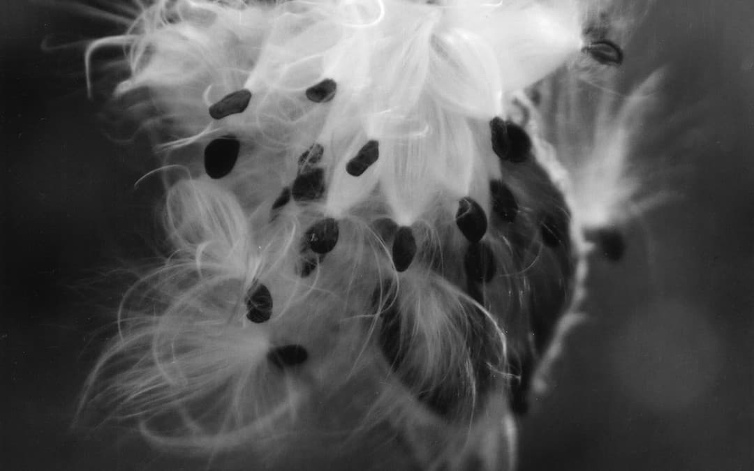 Spiritual Detachment, Pt 2