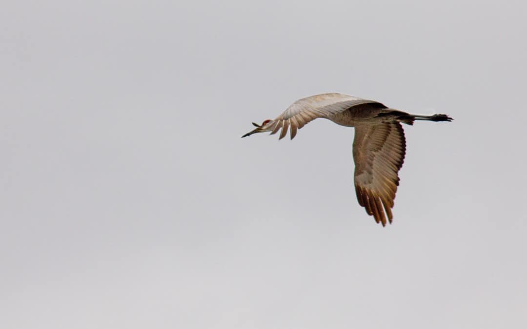 Spiritual Detachment