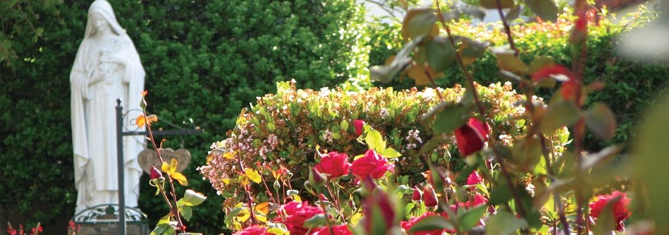 St. Therese and Trust