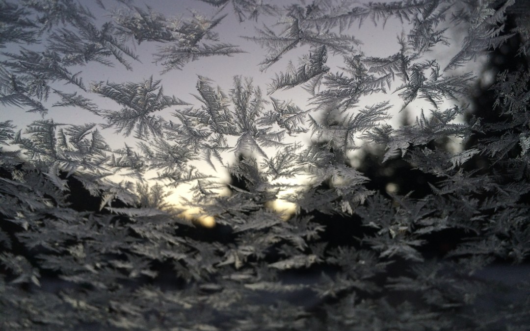 Like Gently Falling Snow…Graces in a New Year
