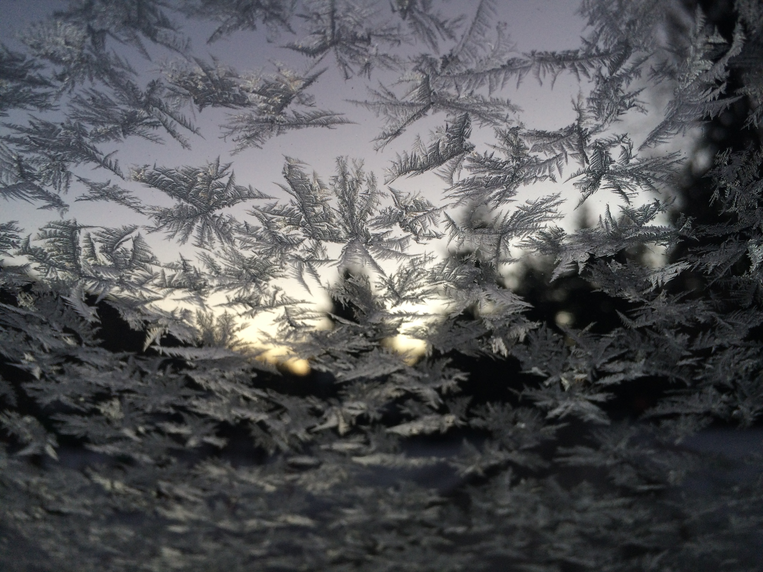 Icy Windshield