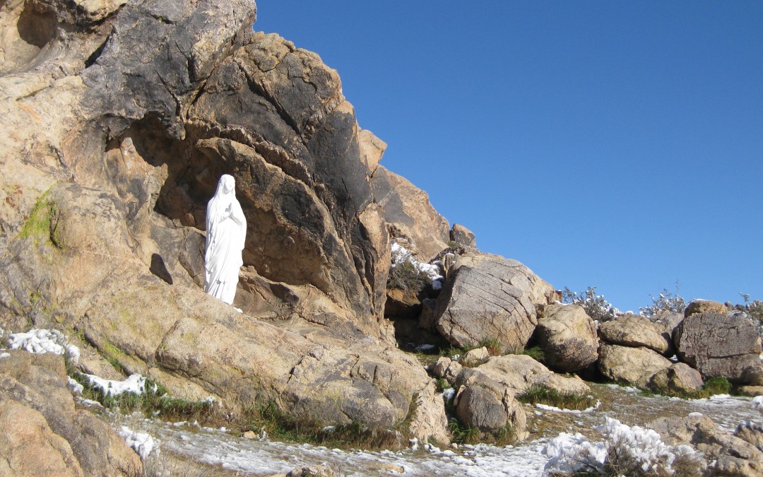 Advent: The Reason for the Season