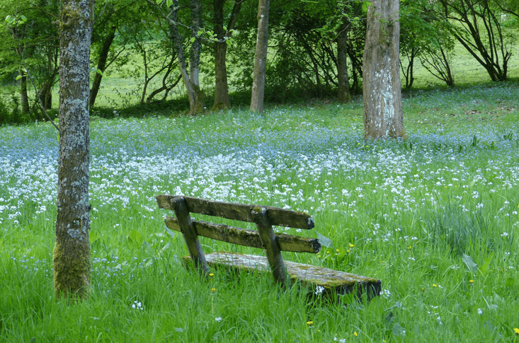 Discovering God in Silence