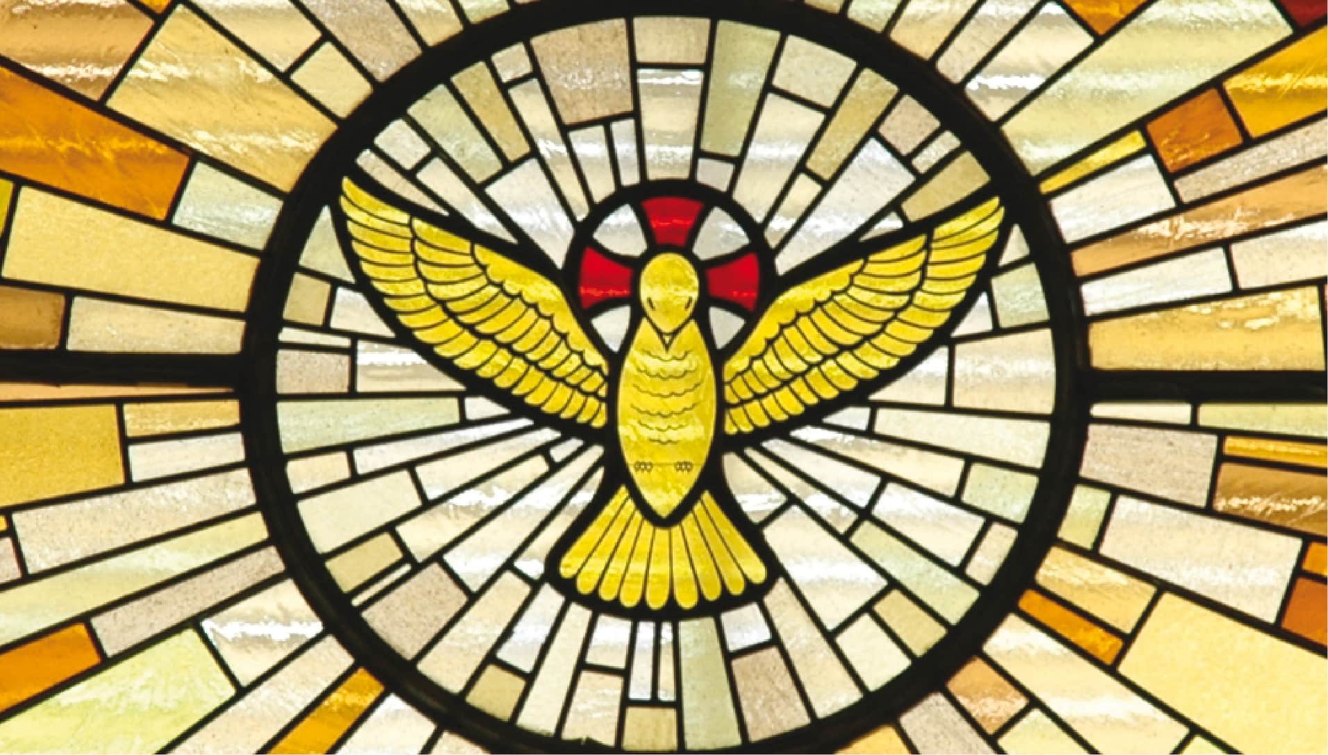 stainglass window of dove with light rays