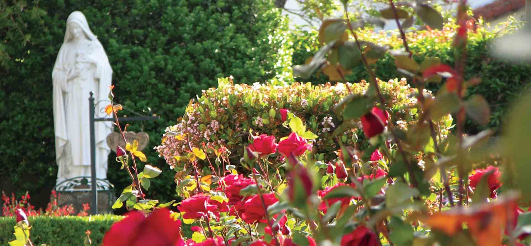 How I met St. Therese