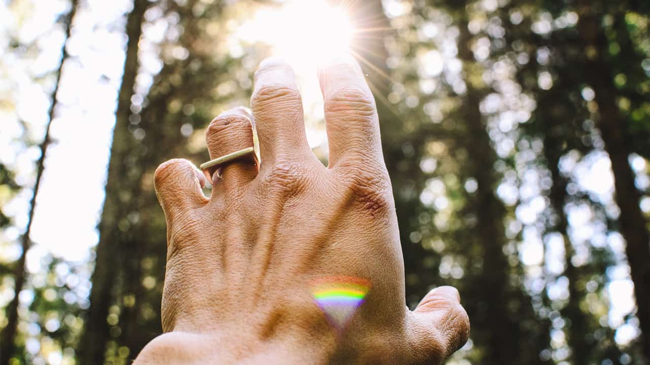 Hand reaching out to sunlight in forrest