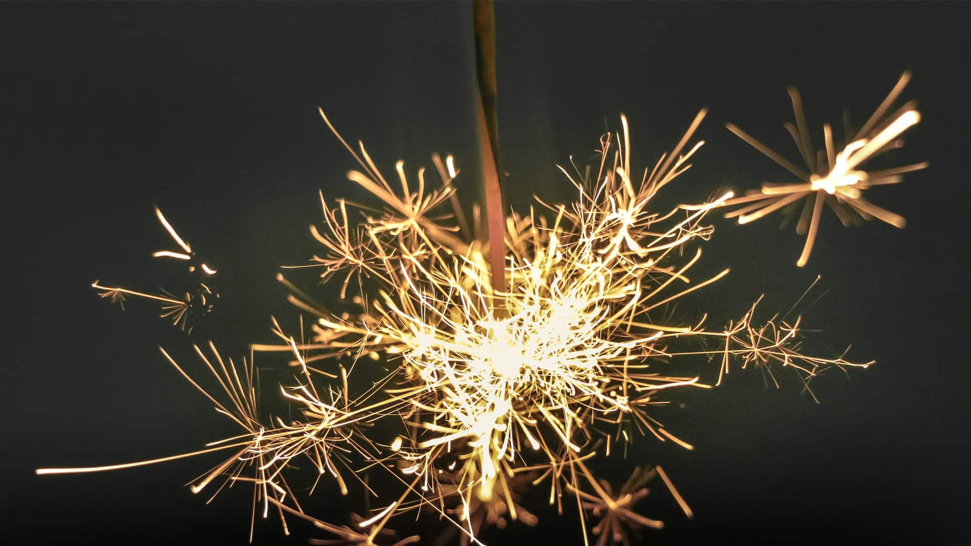 Firework Sparkler