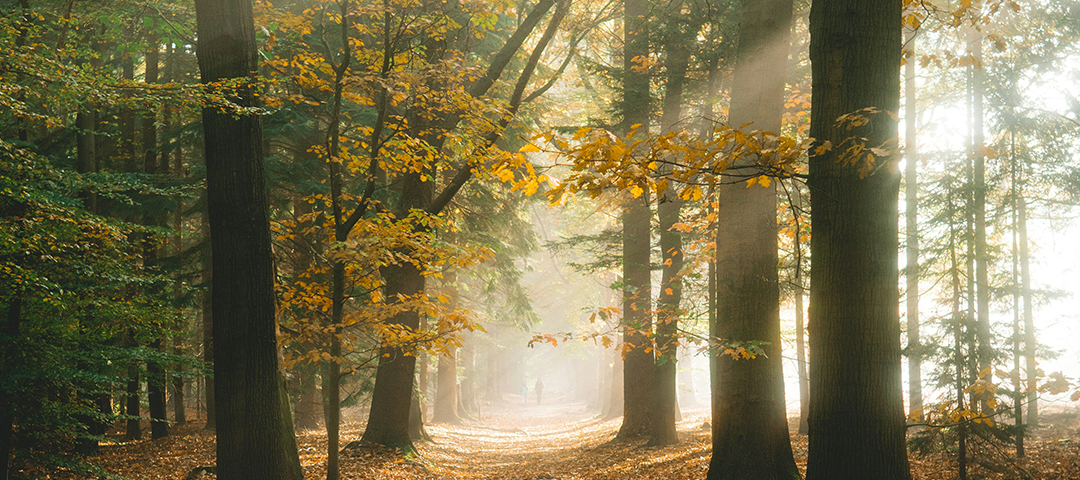 Tips for the Final Journey