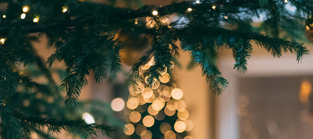 Sister’s Secret Formula