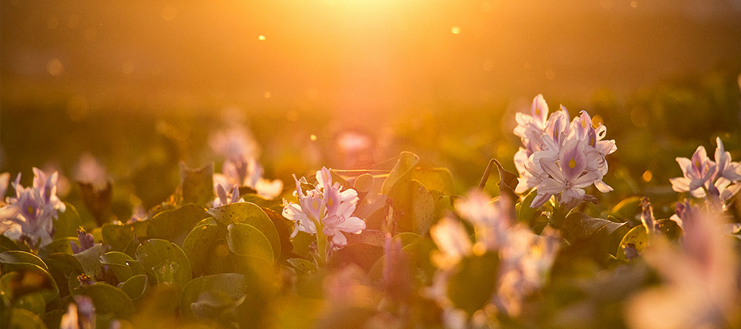 Did Jesus Have Feelings?