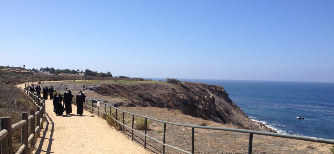 Broaden Your Vision, Run to Win the Race