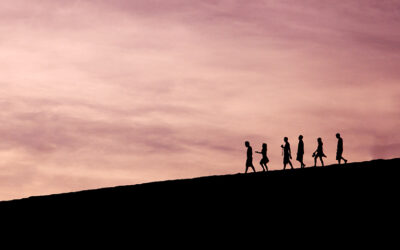 Unspectacular Beautiful Fidelity