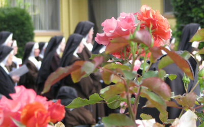 Post Valentine’s Day!