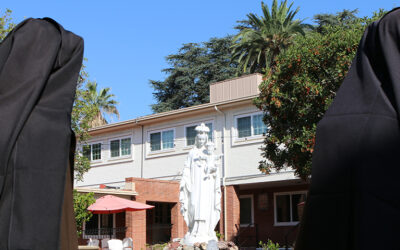 A Religious Vocation: A Daily Decision and a Daily Adventure