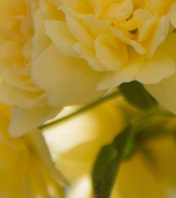 Mother Luisita Dinner 2023