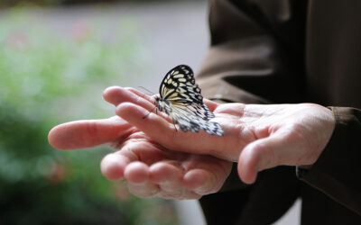 Letting Go