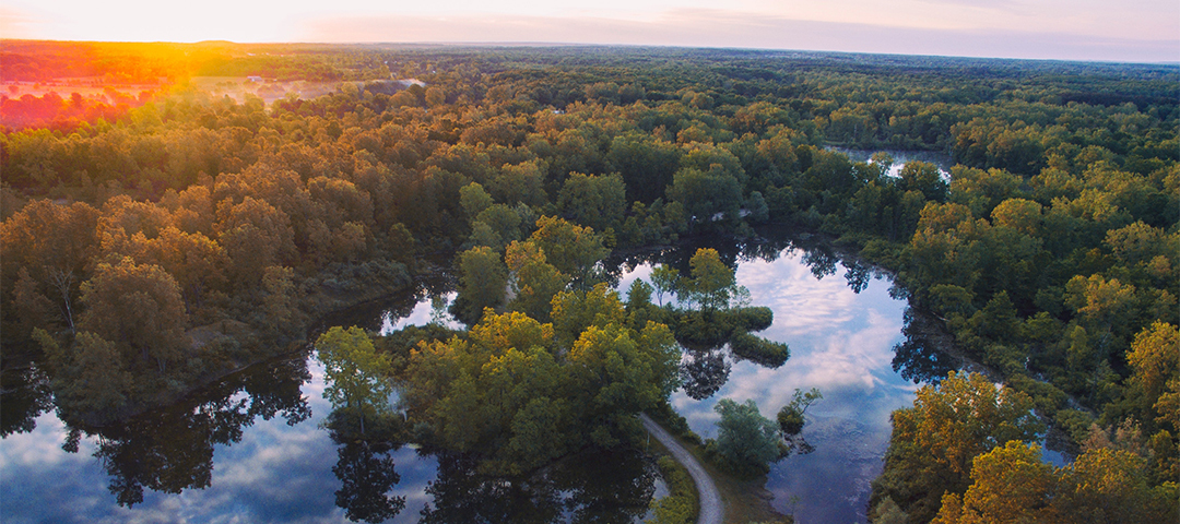 We’re Speaking about Gratitude Again?