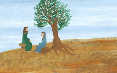 Reflection on St. Joseph – Pine Cones and the Mother Hen