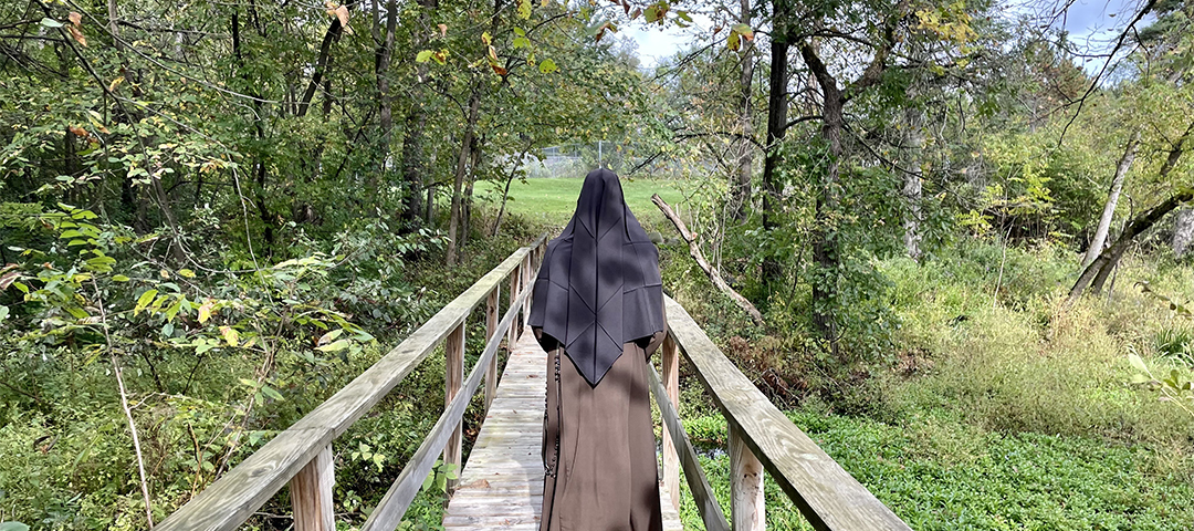 Perseverance Through Life