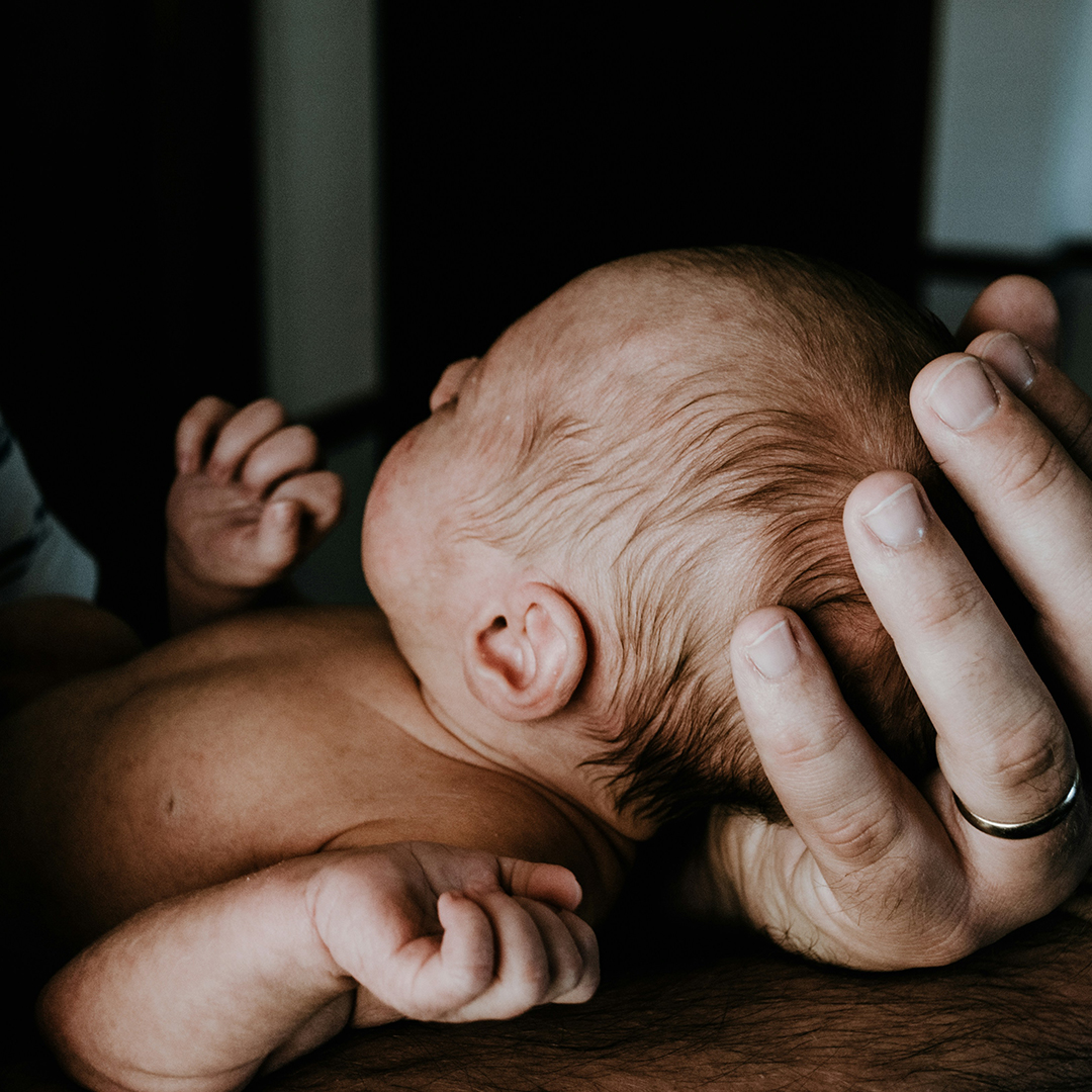 Hands cradling a newly born baby.