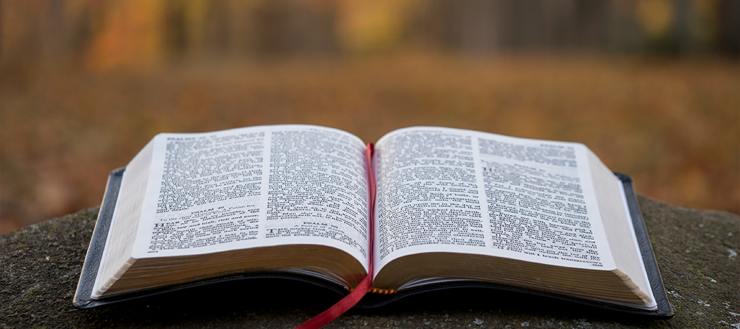 I Love to Hear Your Voice