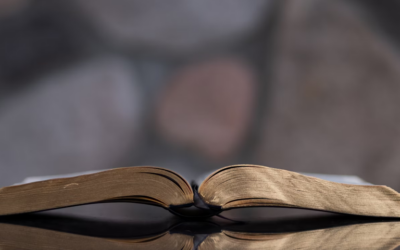 Strange Chapters in Our Lives?