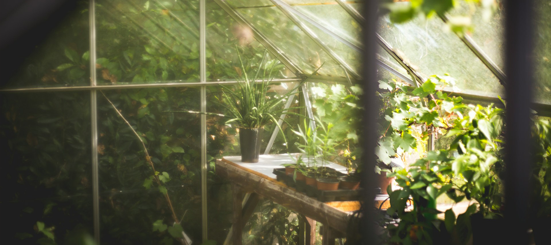 And It Is Wonderful in Our Eyes