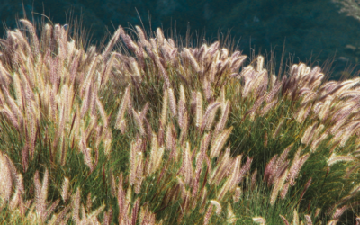 Mother Luisita’s Letter about God, Your Soul, and Eternity