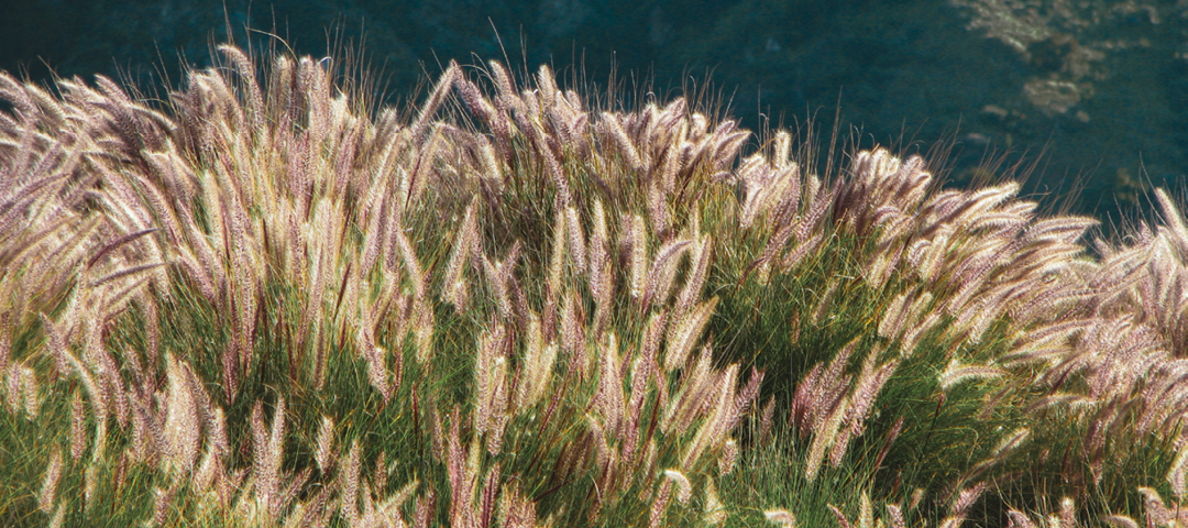 Mother Luisita’s Letter about God, Your Soul, and Eternity