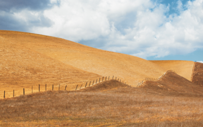 Mother Luisita’s Letter when you Experience Financial Difficulties