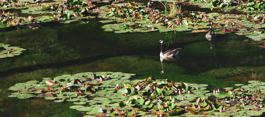 Mother Luisita’s Letter on Worry and Anxiety