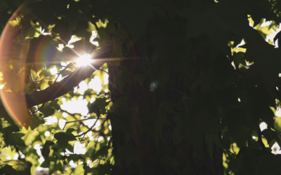 Mother Luisita’s Letter for times of Discouragement and Depression