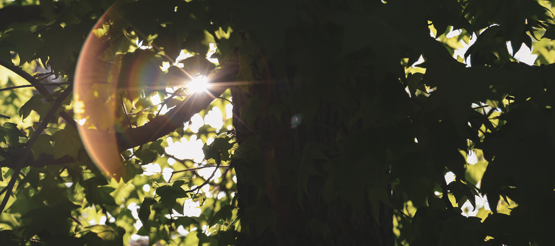 Mother Luisita’s Letter for times of Discouragement and Depression