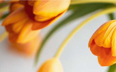 Mother Luisita’s Letter about Growing in Holiness