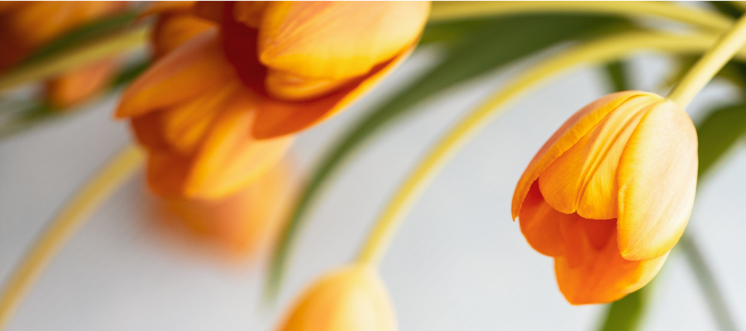 Mother Luisita’s Letter about Growing in Holiness