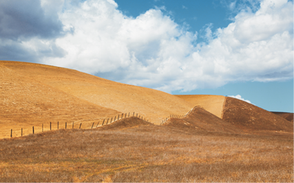 Hills covered with yellow and dried out plant life. A fence line delineates between darker, more unkempt plants and lighter, more taken care of plants.