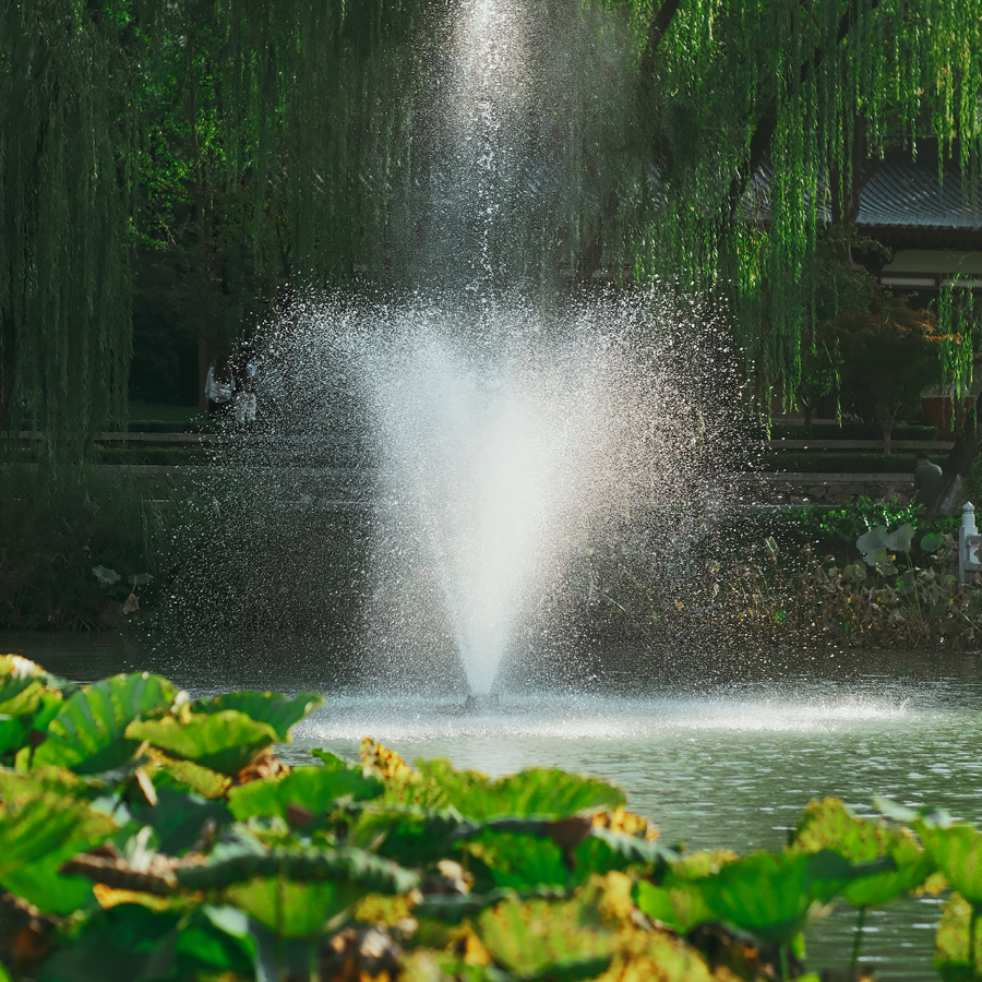 A shack by itself on a grassy cliff face. The distant sky meets the sea in the horizon.