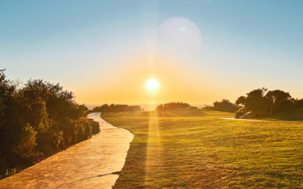 Sunset with the sun illuminating a grassy field.