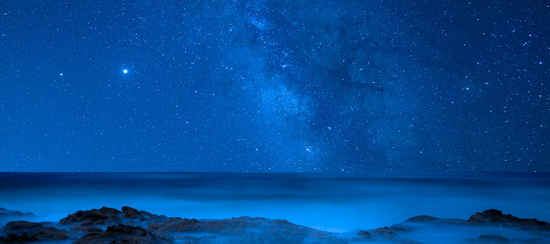 Look on the Star, Look to Mary