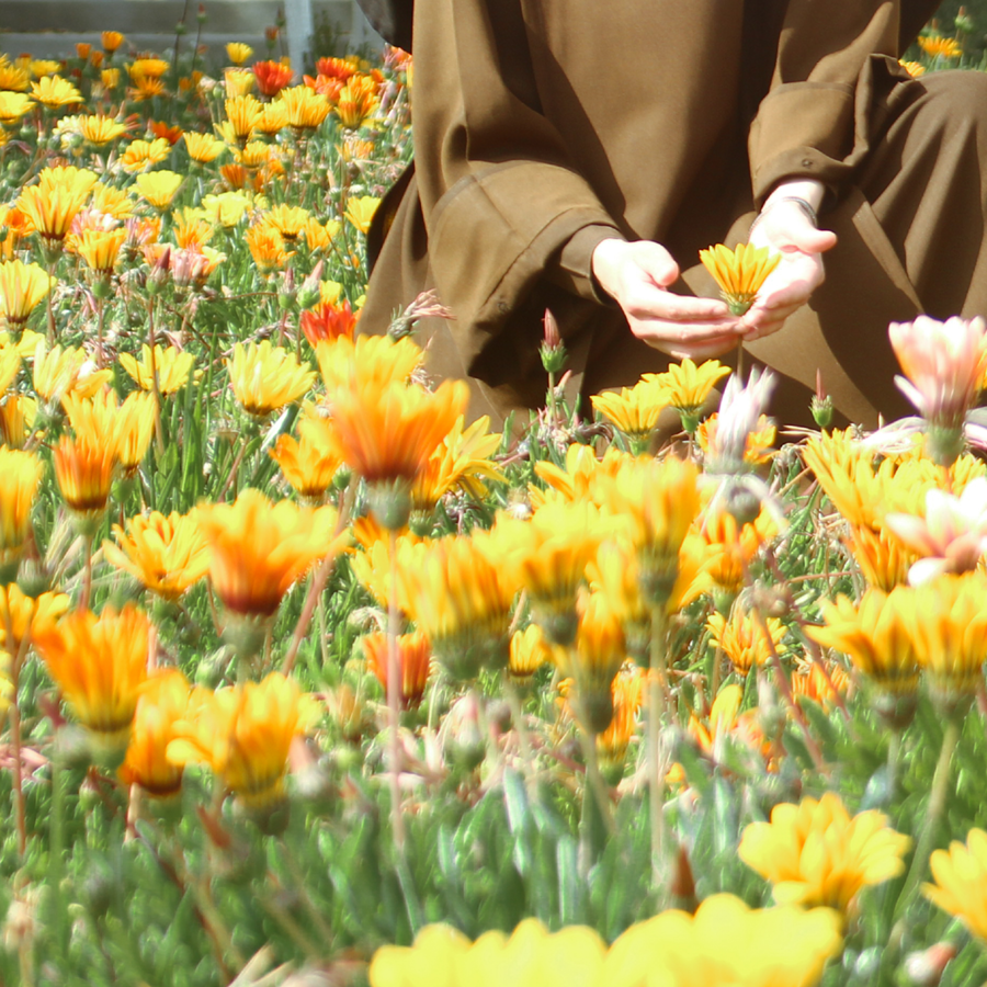 Two sisters kneel in a field of orange flowers.