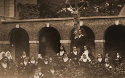 Such Small Wings: A Reflection on St. Therese