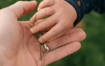 A Gift of the Heart