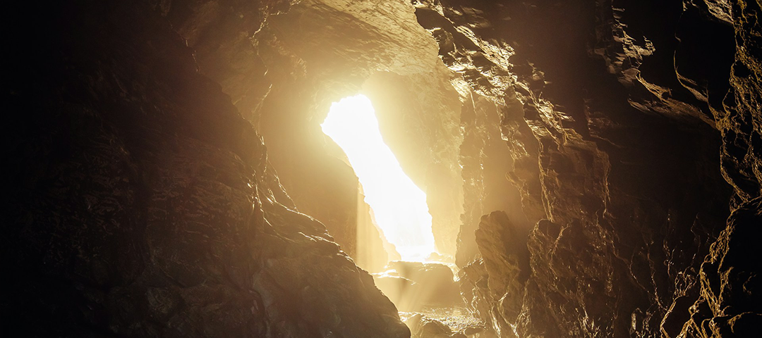 Seeing and Believing