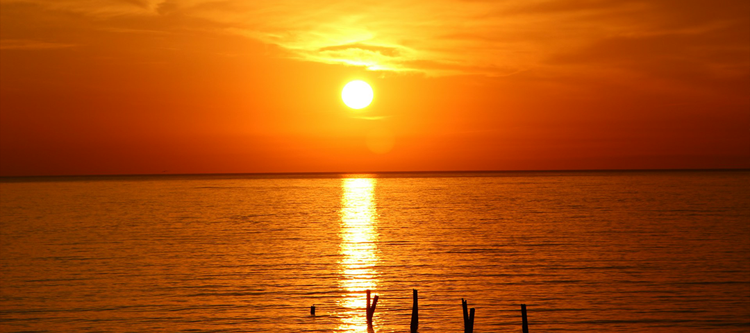 Walking Into the New Year: Renewed in Our Baptism