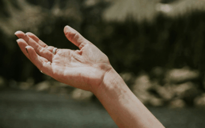 White Knuckles
