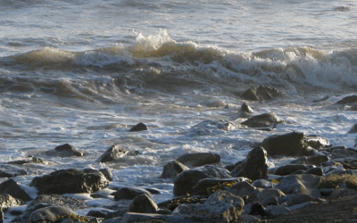 At Sea This Lent