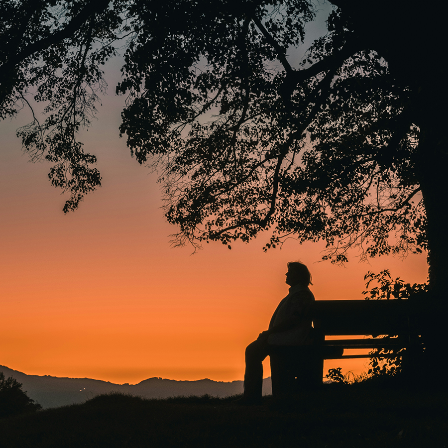 Silhouette of a person on a bench under a tree. The sky behind them glows orange from the setting sun.