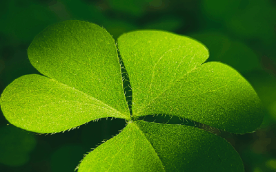 And He Picked Up a Shamrock