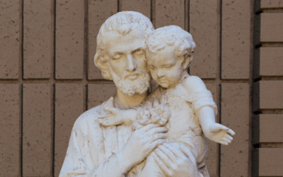 Why, Dear Saint Joseph, Why?