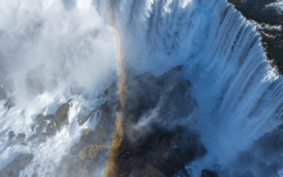 Merciful Like the Father